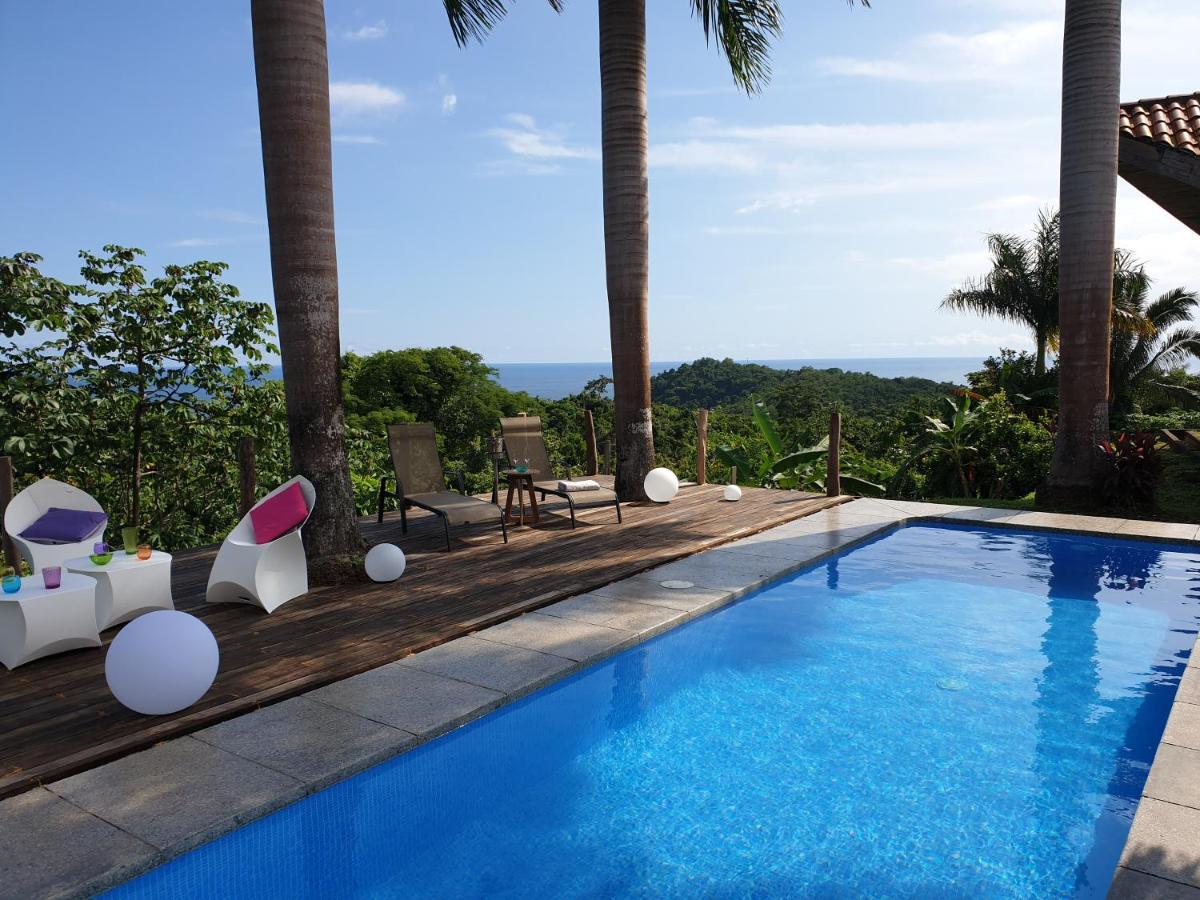 Palmetto Lodge Playa San Miguel Luaran gambar